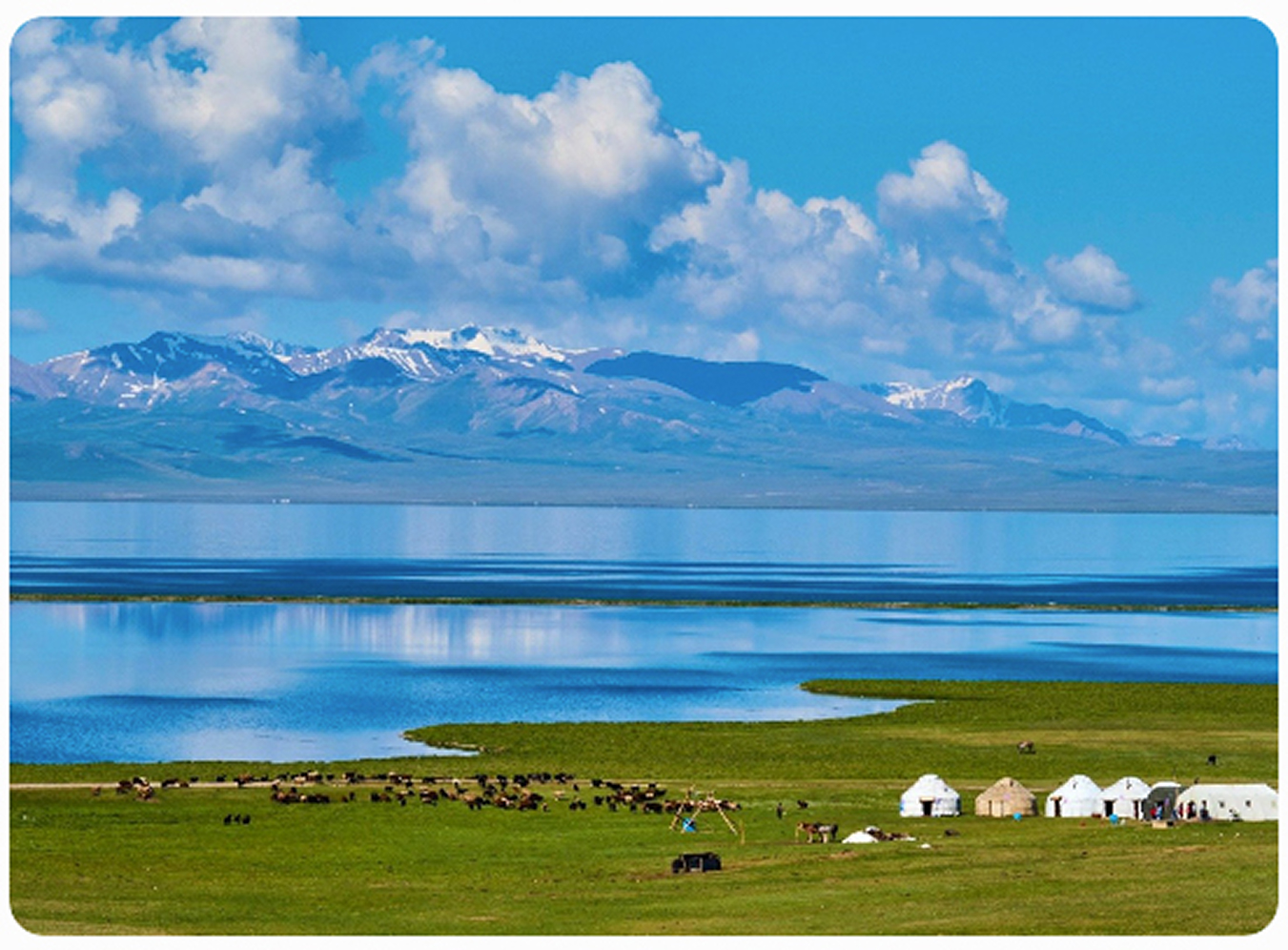Mongolia vs Kyrgyz steppe