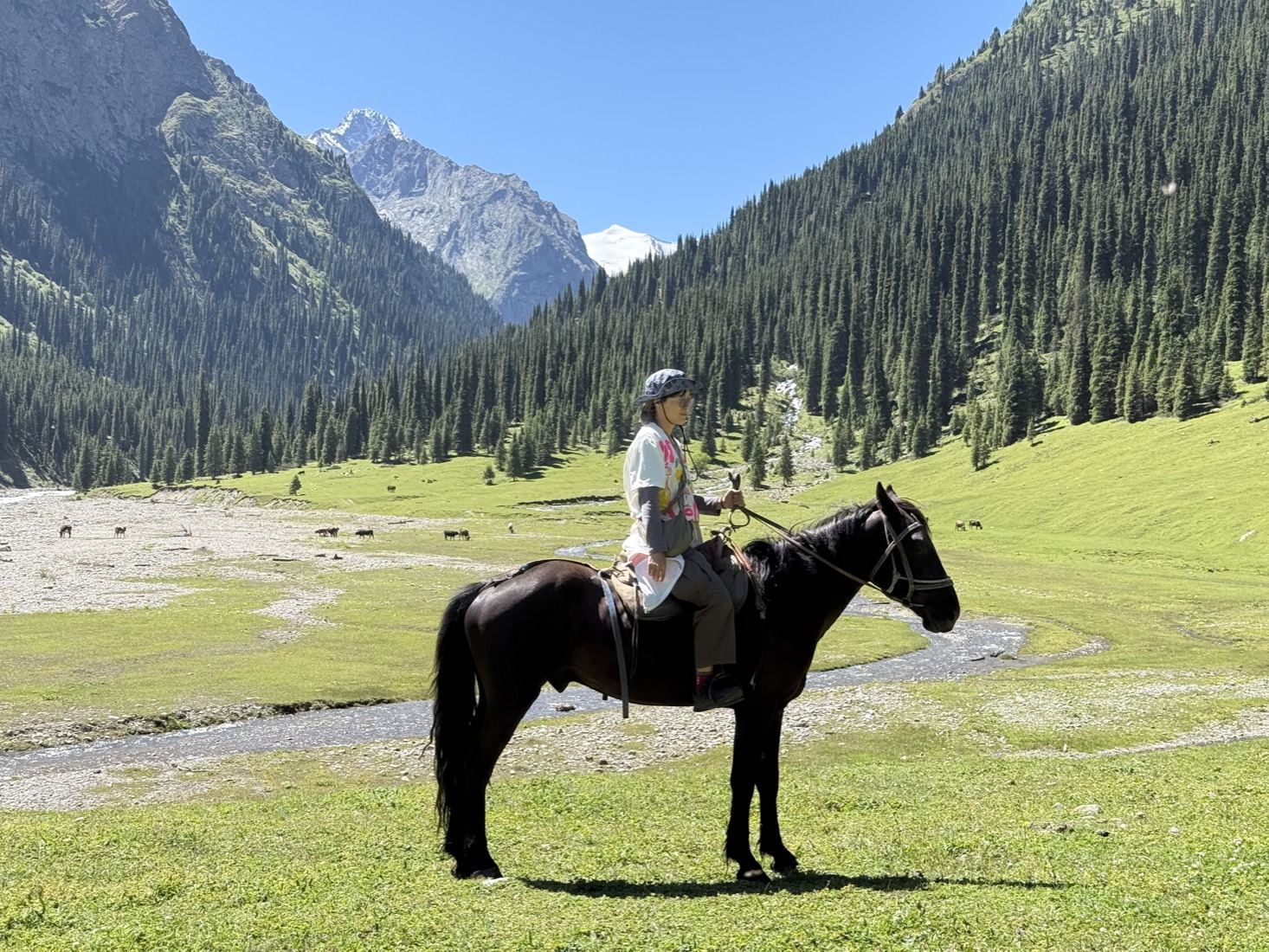 A guest on horseback in a green mountain valley