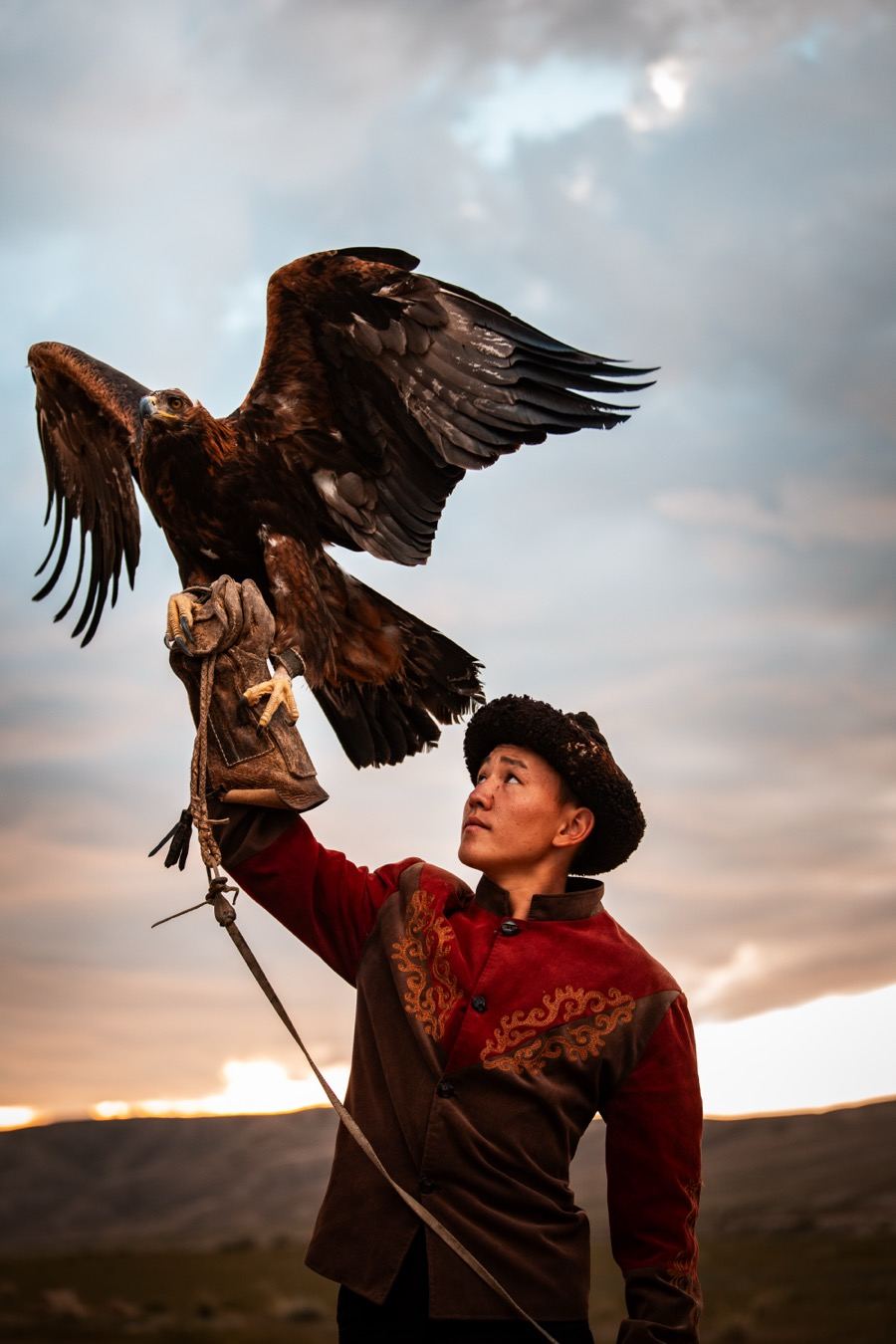 A golden eagle spreading its wings on the hunter's arm