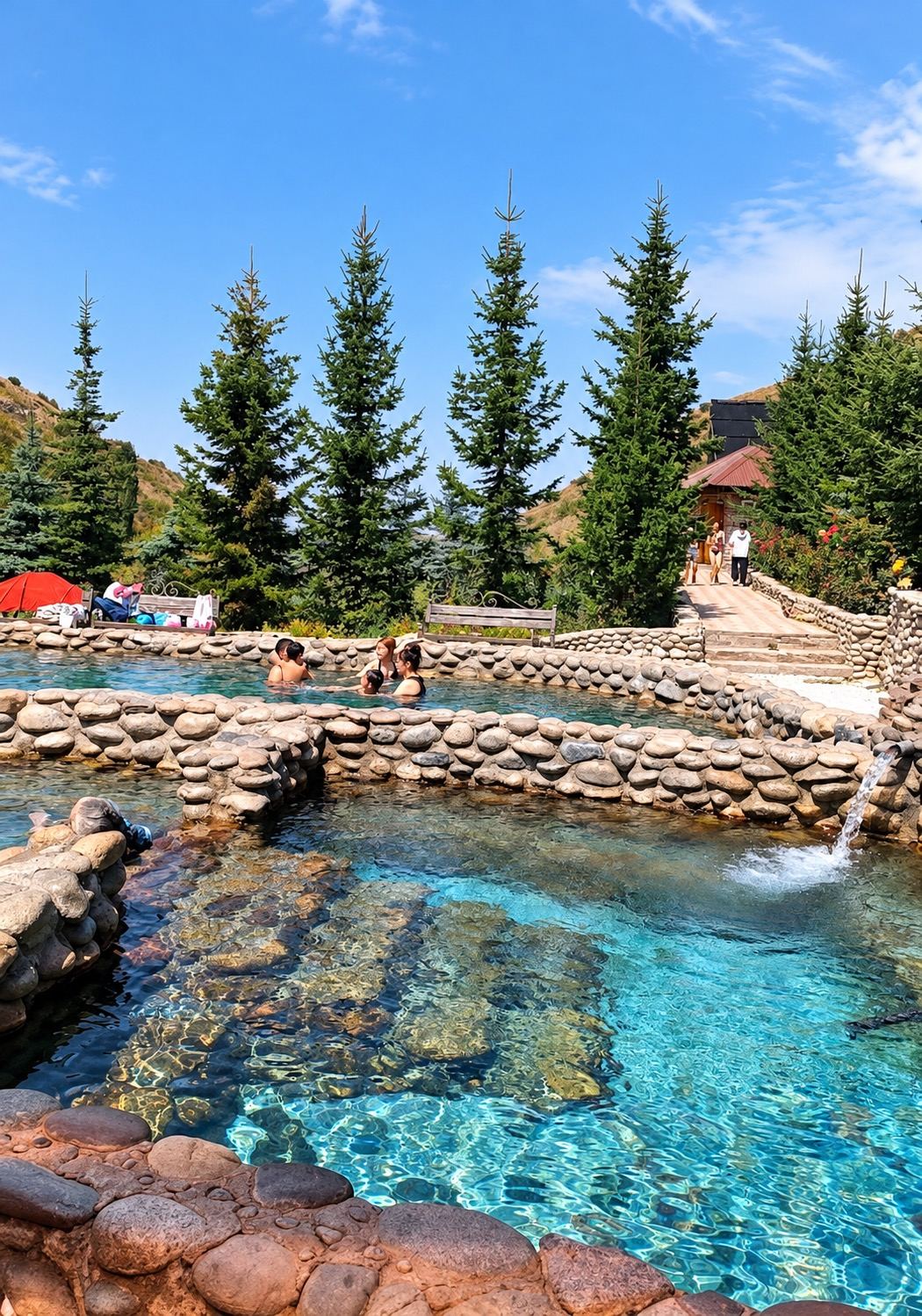 Natural hot spring pools surrounded by pine trees
