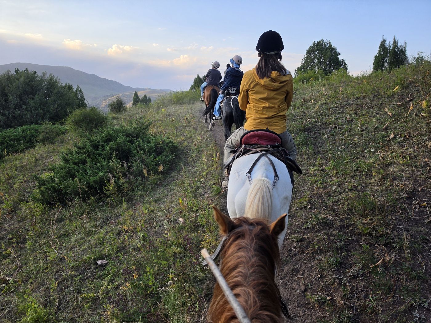 Riding single file along a green ridge
