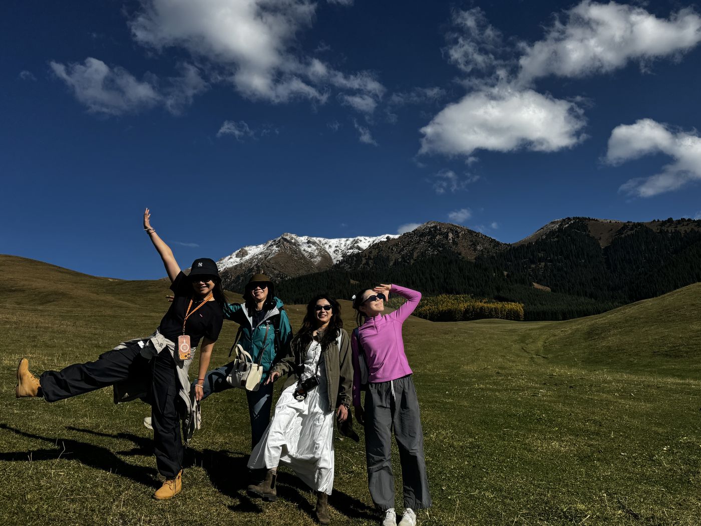 Guests posing in a meadow below snowy peaks