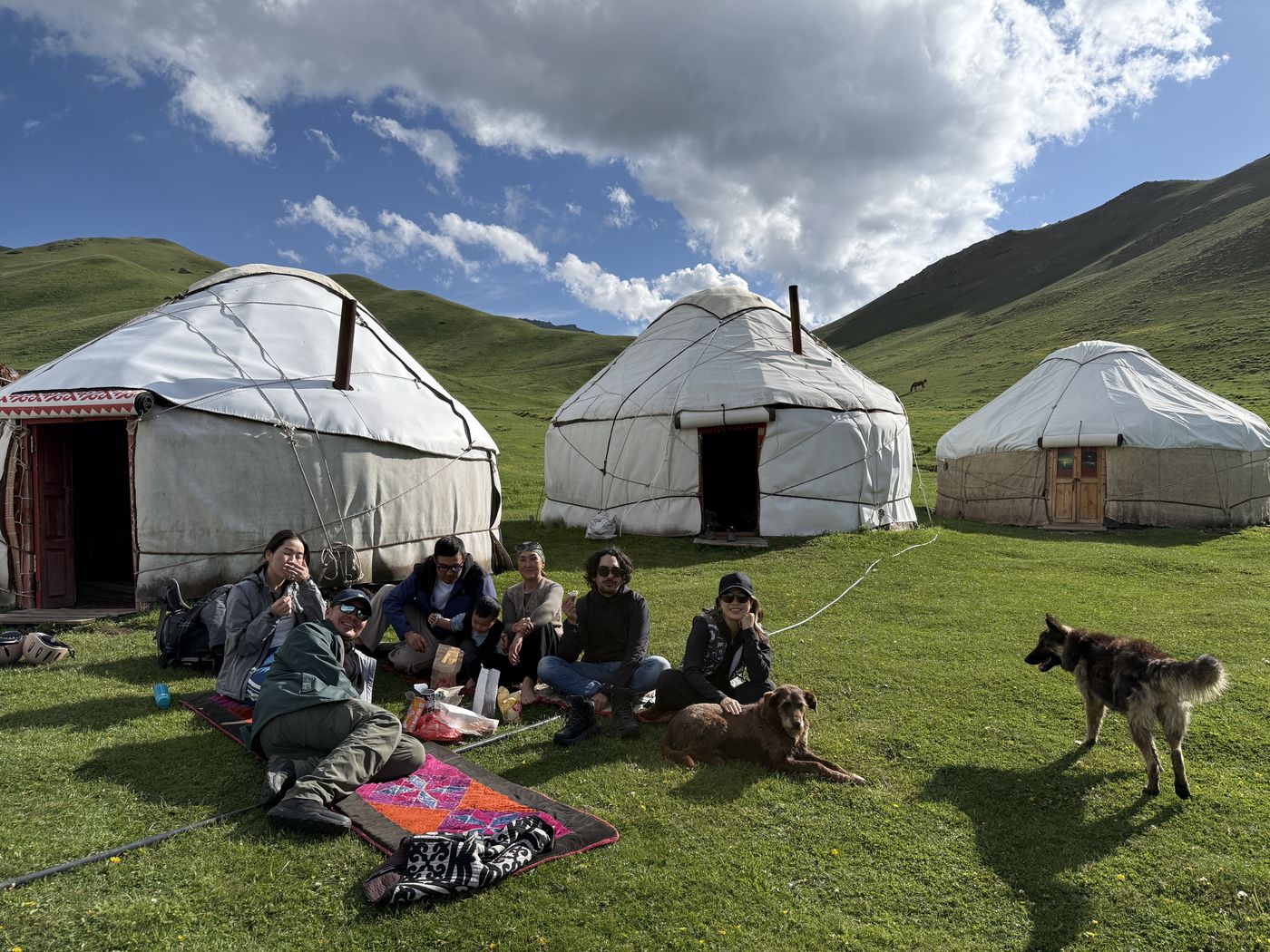 Guests relaxing on rugs by the yurts with the camp dogs