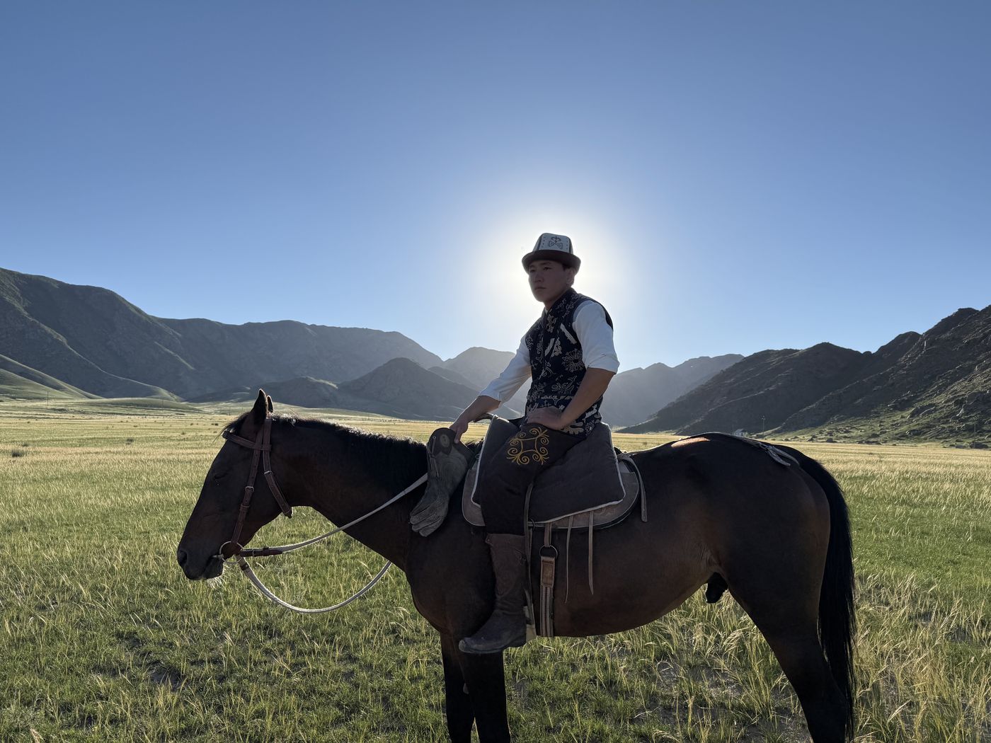 A horseman on the steppe