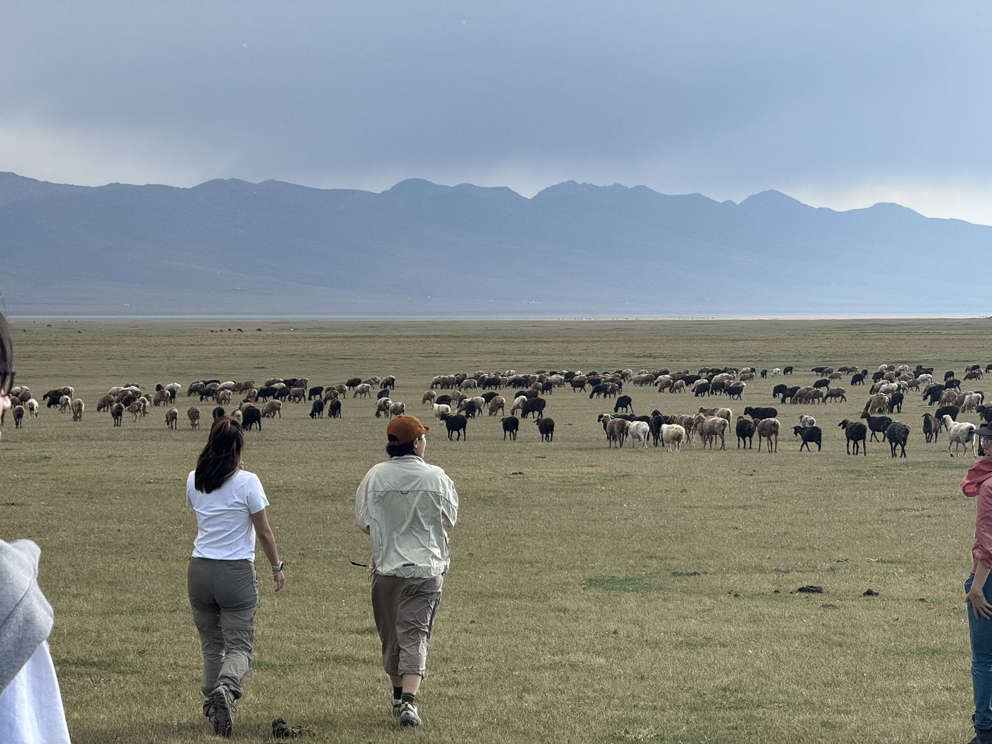 Walking toward the herds on the shore of Song-Kul