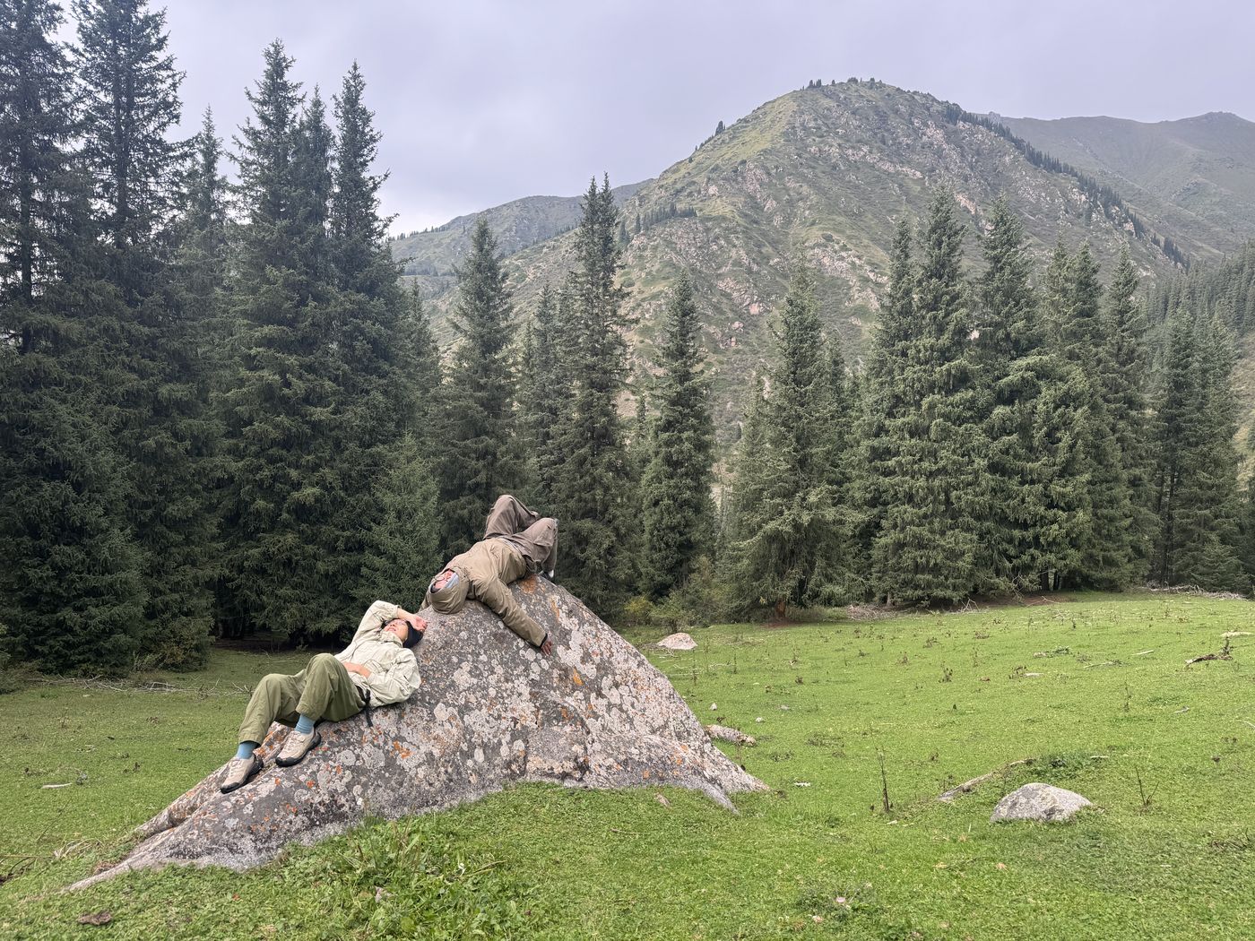 Guests resting on a big rock in a forest meadow