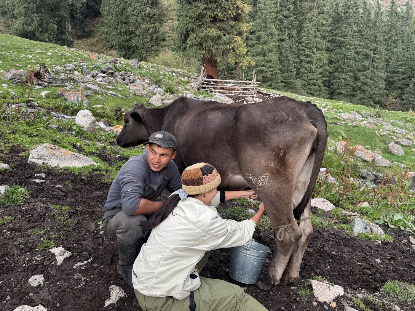 Learning to milk a cow