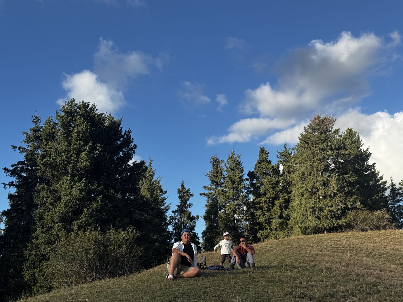 Guests resting on a hill among spruce trees