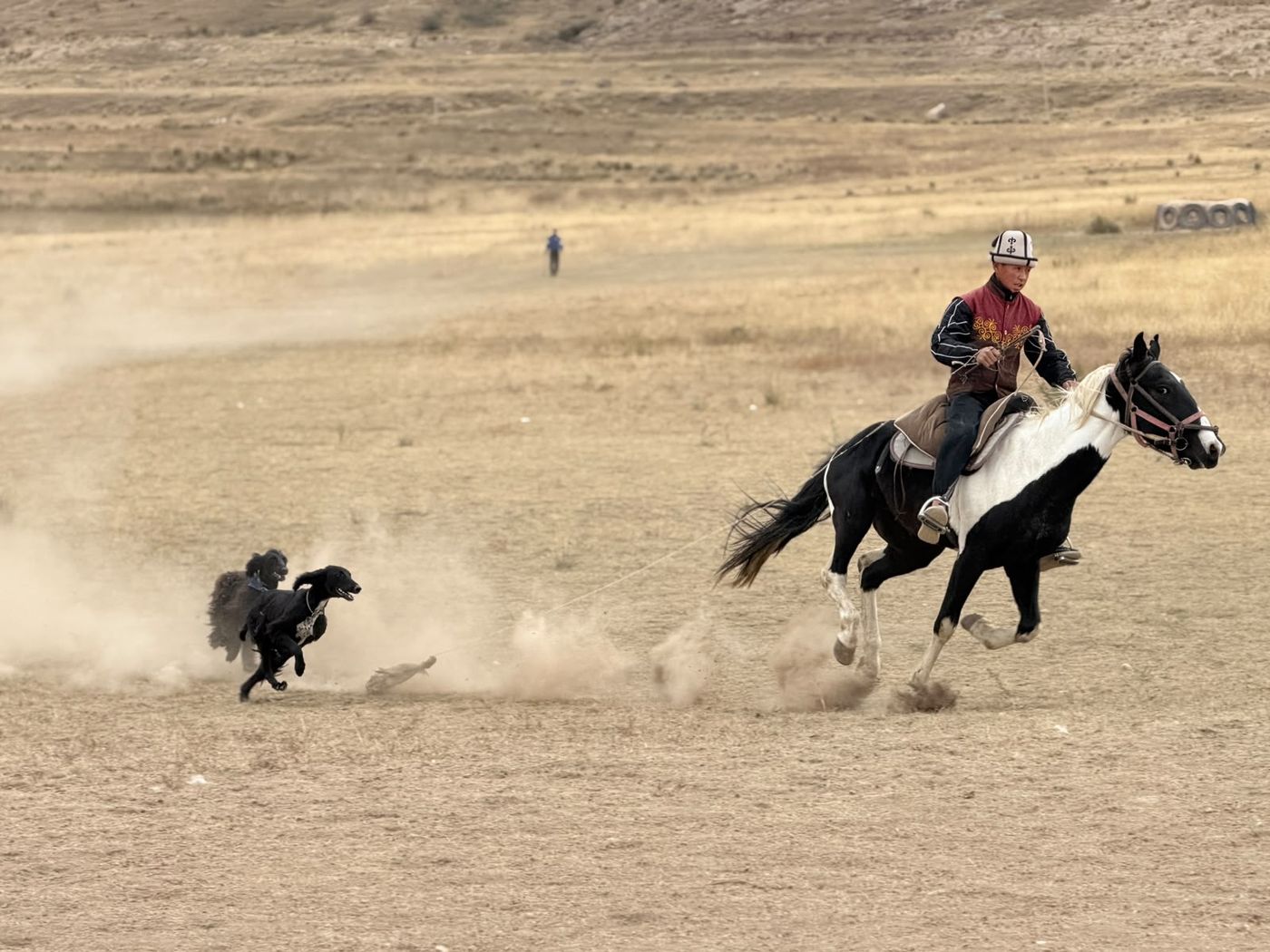 A horseman galloping across the steppe
