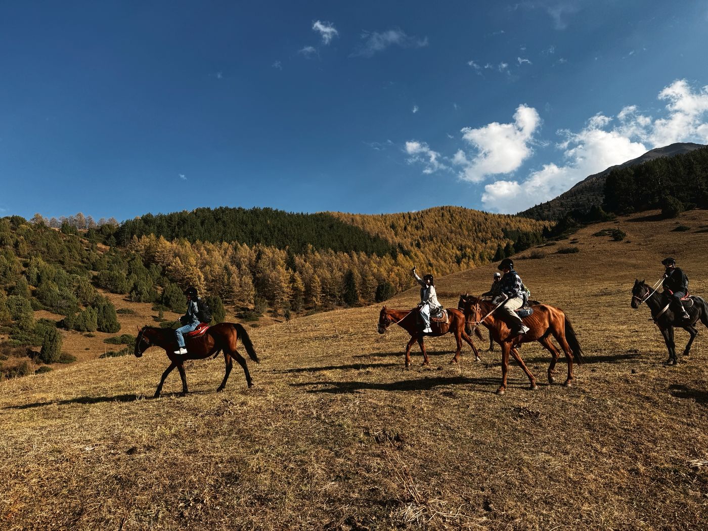 Riders in an autumn larch valley