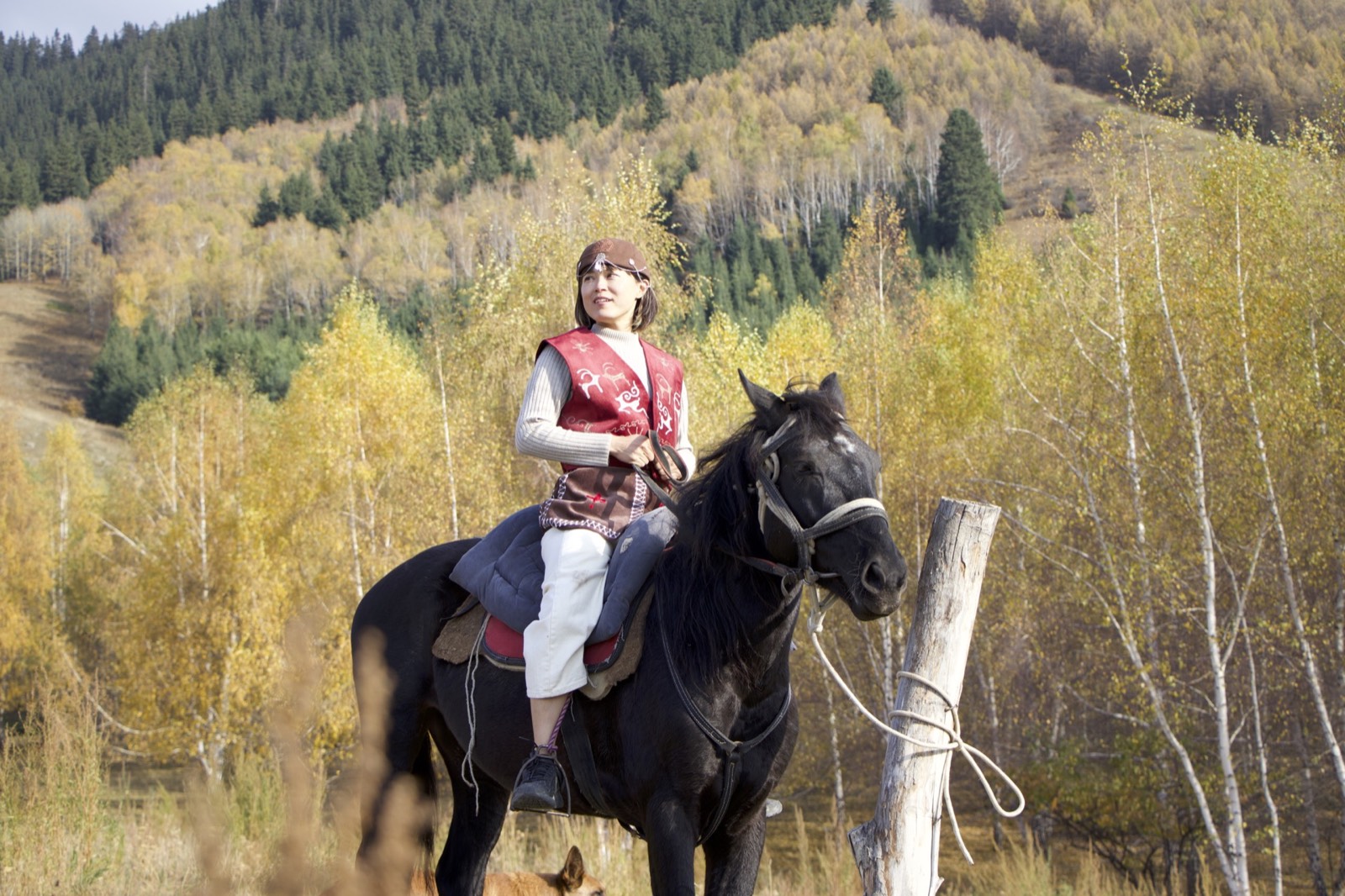 Mountains reflected in a lake