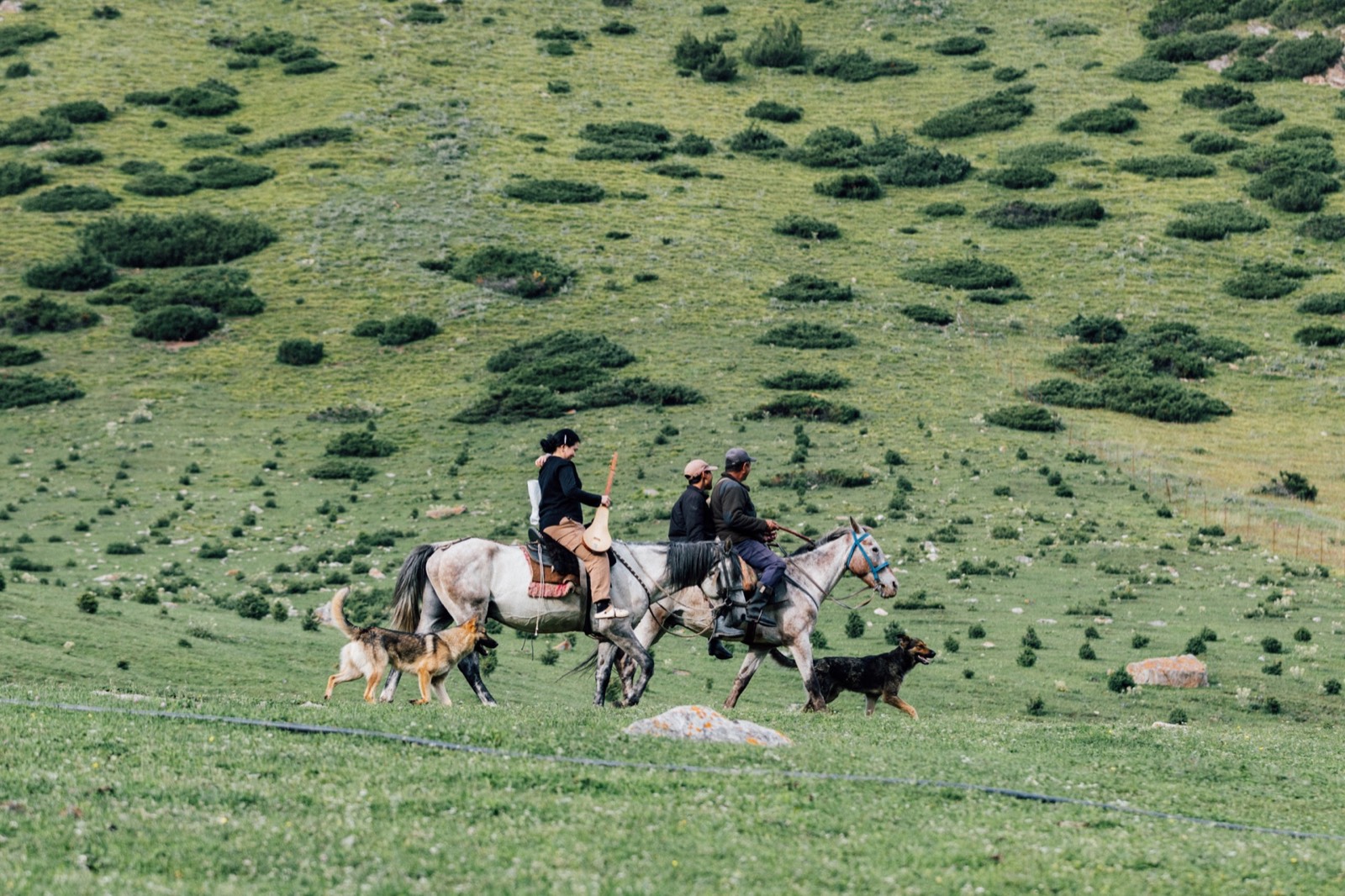 Eagle hunter on horseback