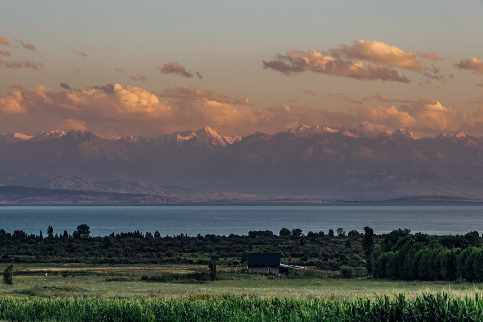 Nomads riding across grasslands