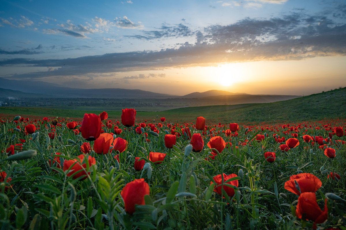 Spring in Kyrgyzstan